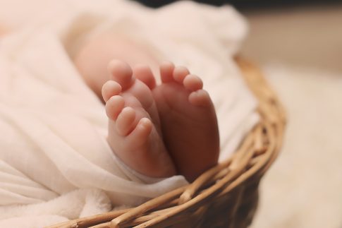 Canastillas para bebés, el regalo ideal para un recién nacido